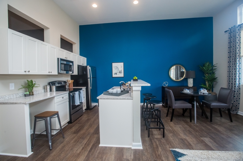 Modern kitchen and living space 