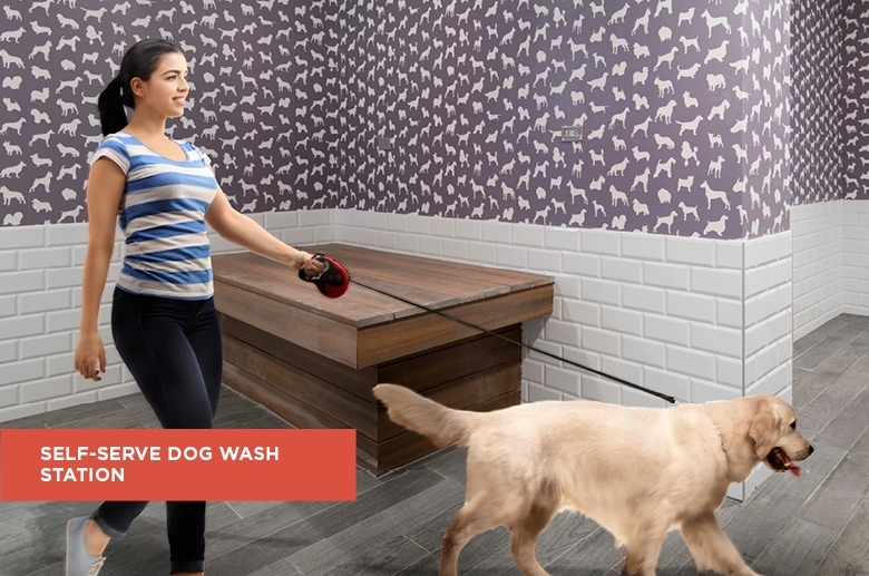 Self-serve dog wash station at Franklin Tower