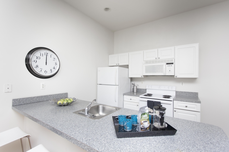 Equipped kitchen with dishwasher, refrigerator, and microwave