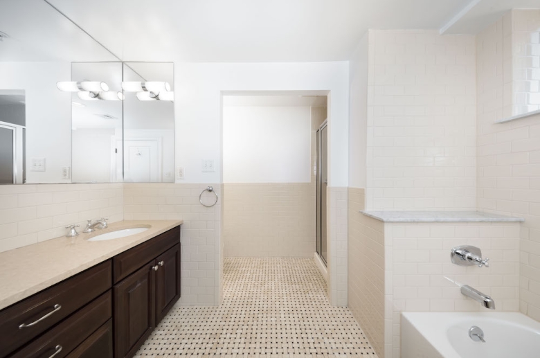 Penthouse bathroom with tub and standing shower 