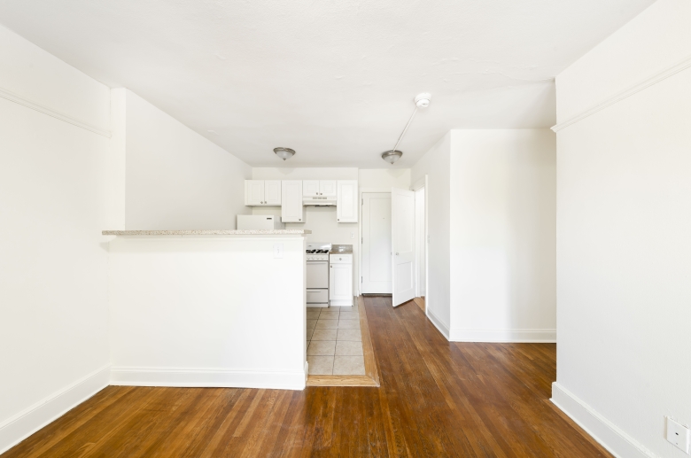 Kitchen and living area 