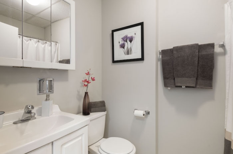 Modern updated bathroom