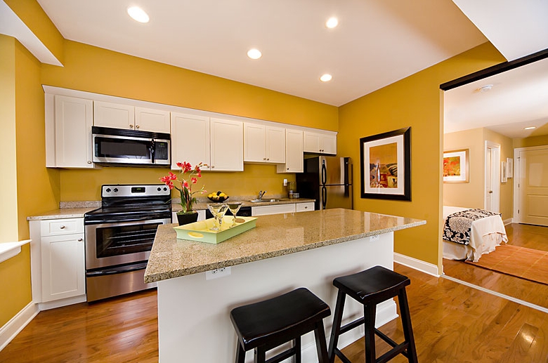 Open concept kitchen