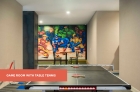 Game room with table tennis